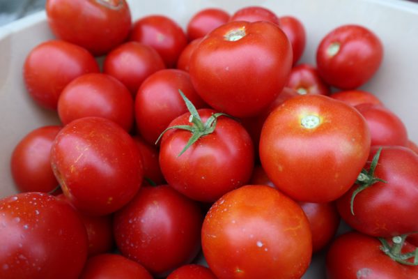 close up of Hawaiian grown tomatoes ready to be cooked