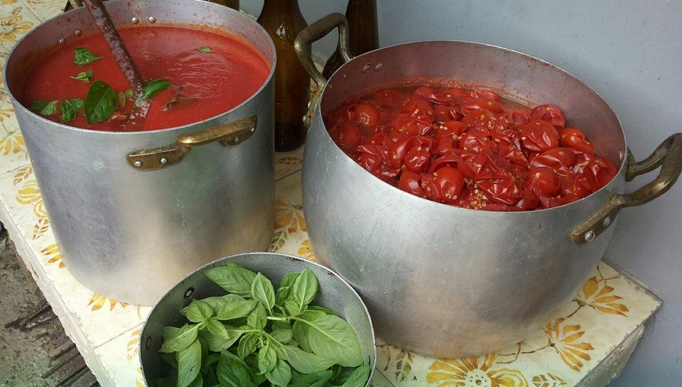 Two pots with tomato-based ingredients and a bowl of basil leaves on a patterned surface.
